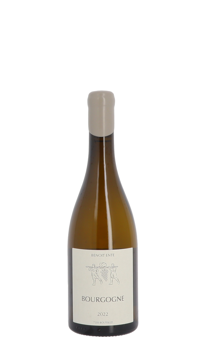 Domaine Benoit Ente