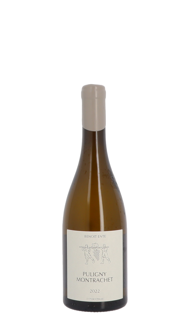 Domaine Benoit Ente 2022 Blanc