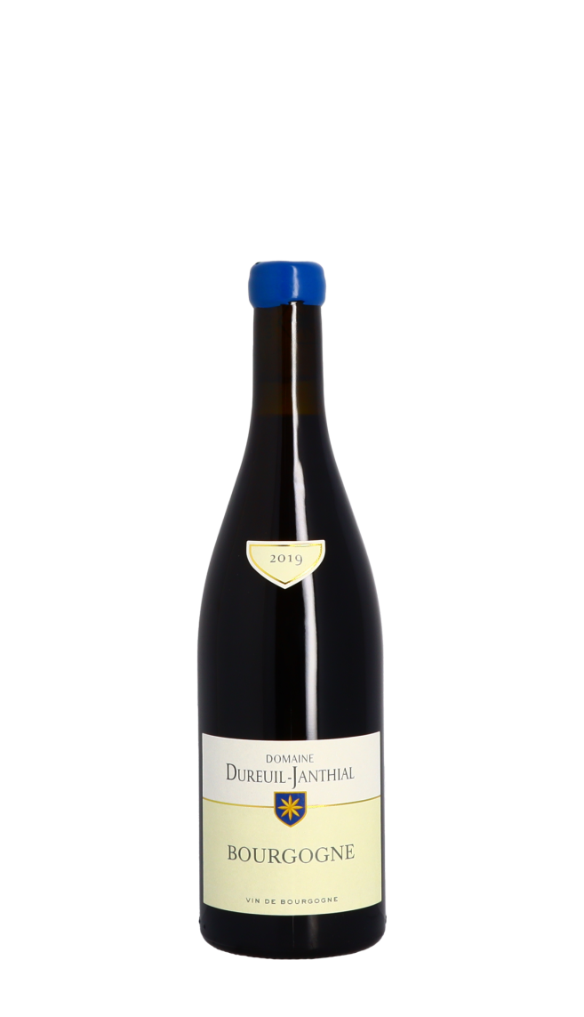 Domaine Vincent Dureuil-Janthial 2019 Rouge