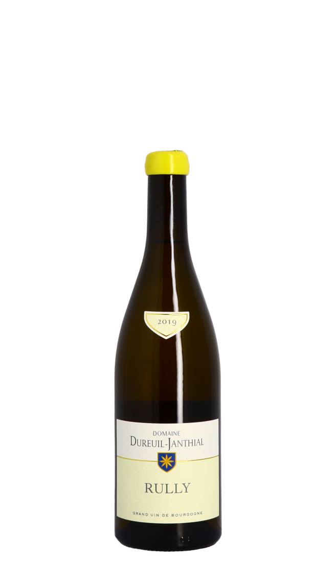 Domaine Vincent Dureuil-Janthial 2019 Blanc