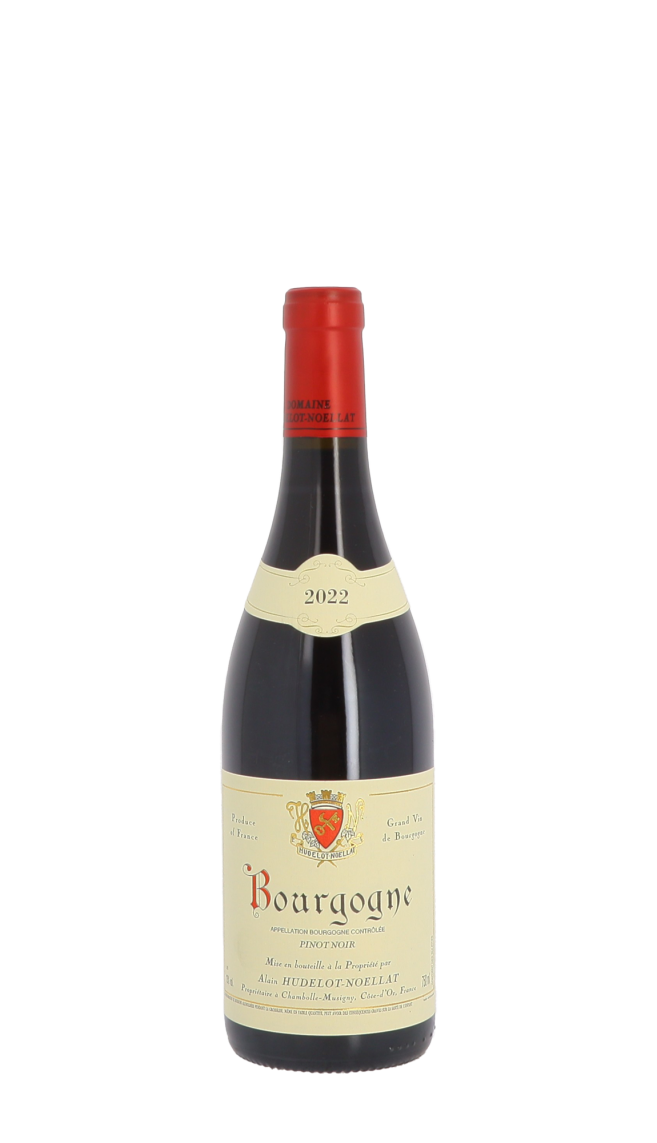 Domaine Hudelot-Noëllat 2022 Rouge