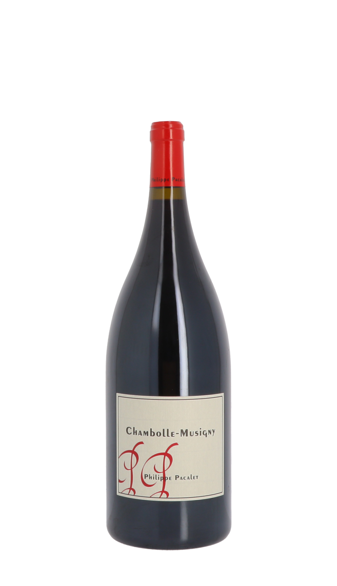 Domaine Philippe Pacalet 2019 Rouge