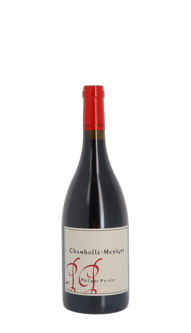 Domaine Philippe Pacalet 2020 Rouge