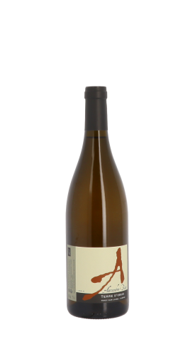 Alexandre Bain, Terres d'Obus 2022 Blanc 75cl