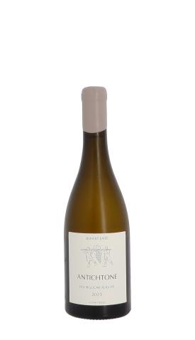 Domaine Benoit Ente, Antichtone 2021 Blanc 75cl