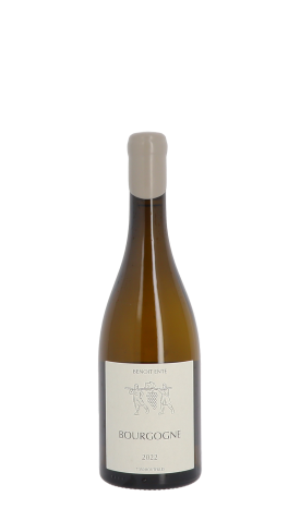 Domaine Benoit Ente, Bourgogne 2022 Blanc 75cl