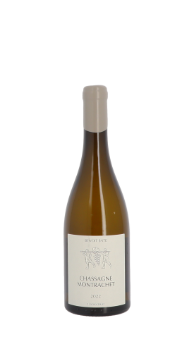 Domaine Benoit Ente, Les Houillères 2022 Blanc 75cl