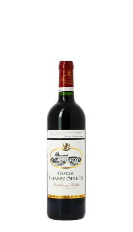 Château Chasse Spleen 2014 Rouge 75cl