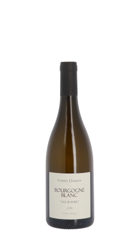 Domaine Pierre Damoy, Les Ravry 2019 Blanc 75cl