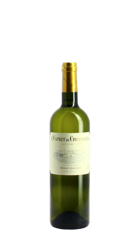 Domaine de Chevalier, L'Esprit de Chevalier blanc 2021 Blanc 75cl