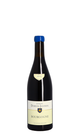 Domaine Vincent Dureuil-Janthial 2019 Rouge 75cl