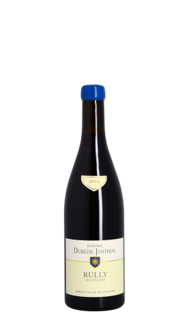 Domaine Vincent Dureuil-Janthial, En Guesnes 2019 Rouge 75cl