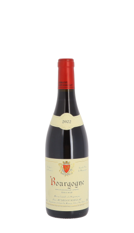 Domaine Hudelot-Noëllat 2022 Rouge 75cl