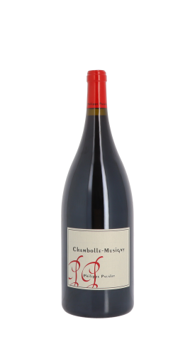 Domaine Philippe Pacalet 2019 Rouge Magnum