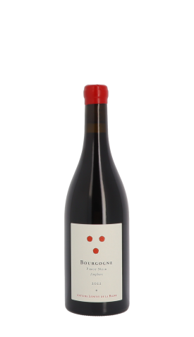 Antoine Lepetit de la Bigne, Pinot Noir Amphore 2022 Rouge 75cl