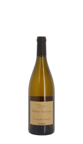 Domaine Antoine Sanzay, Les Salles Martin 2021 Blanc 75cl