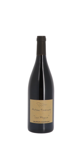 Domaine Antoine Sanzay, Les Poyeux 2021 Rouge 75cl