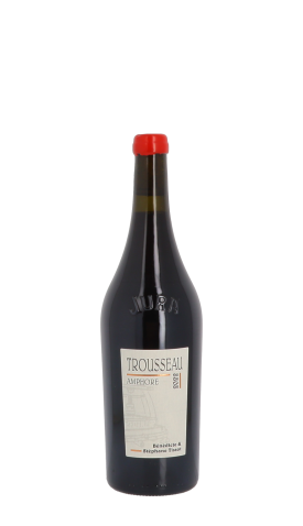 Domaine Stéphane Tissot, Trousseau en Amphore Sans Soufre 2022 Rouge 75cl