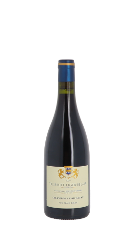 Thibault Liger-Belair, Aux Beaux Bruns 2020 Rouge 75cl