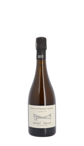 Domaine Dhondt-Grellet, "Dans un premier temps..." 2020 Blanc 75cl