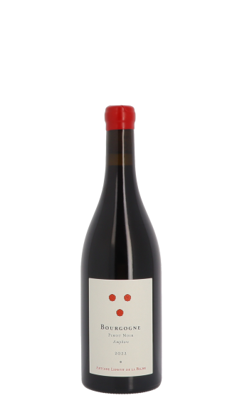 Antoine Lepetit de la Bigne, Pinot Noir Amphore 2022 Rouge 75cl
