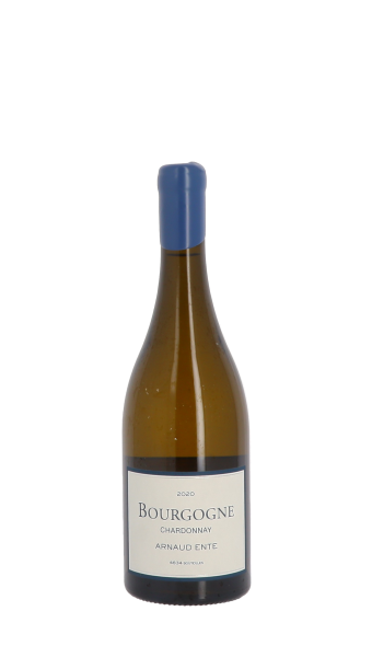 Domaine Arnaud Ente, Bourgogne 2020 Blanc 75cl