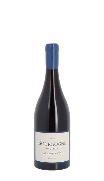 Domaine Arnaud Ente, Pinot Noir 2019 Rouge 75cl