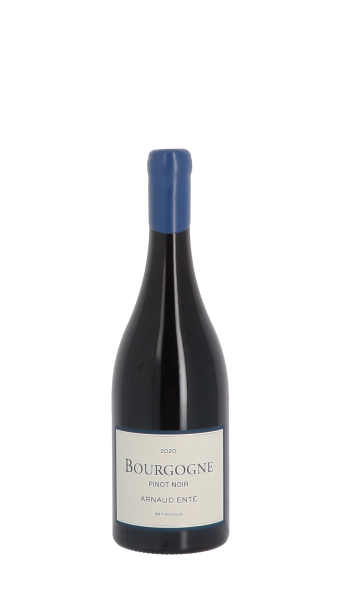 Domaine Arnaud Ente, Pinot Noir 2020 Rouge 75cl