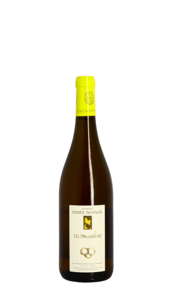 Domaine Patrick Baudouin, Les Bruandières 2018 Blanc 75cl