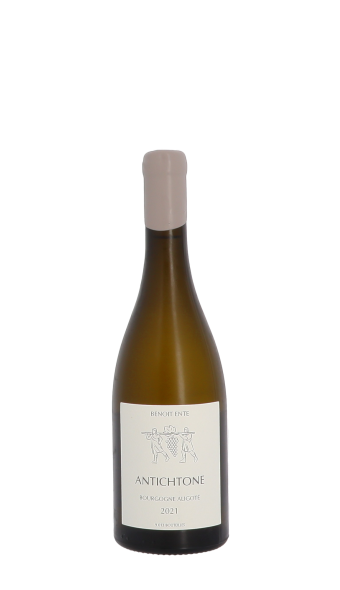 Domaine Benoit Ente, Antichtone 2021 Blanc 75cl