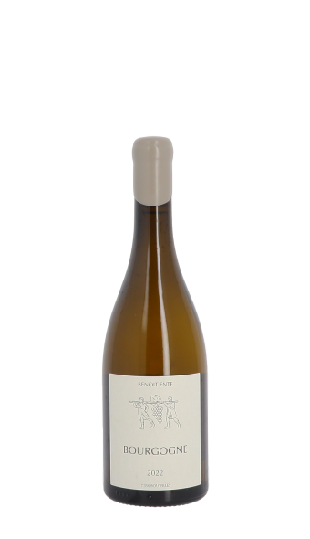 Domaine Benoit Ente, Bourgogne 2022 Blanc 75cl