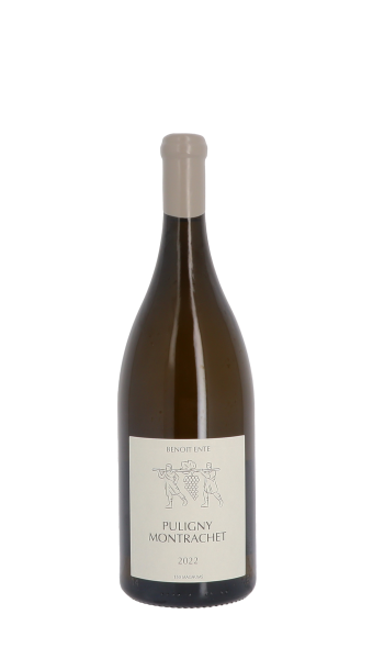 Domaine Benoit Ente 2022 Blanc Magnum