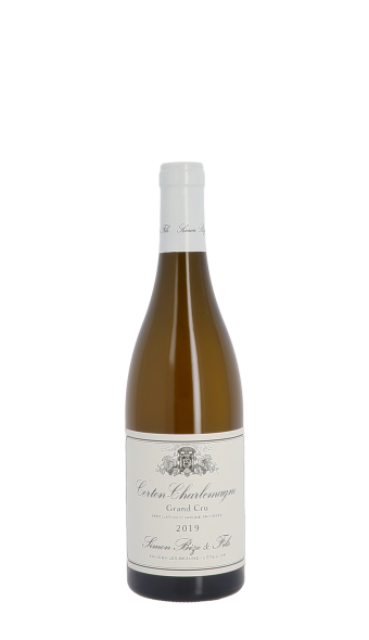 Domaine Simon Bize et Fils 2019 Blanc 75cl