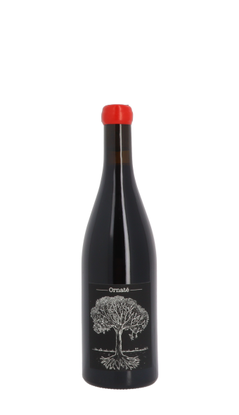 Jérôme Bretaudeau, Ornaté 2022 Rouge 75cl