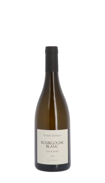 Domaine Pierre Damoy, Les Ravry 2019 Blanc 75cl