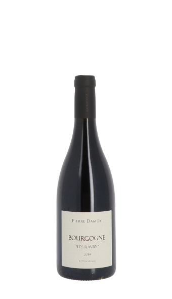 Domaine Pierre Damoy, Les Ravry 2019 Rouge 75cl