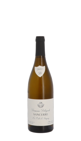 Domaine Delaporte, Côte d'Amigny 2022 Blanc 75cl