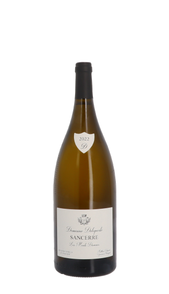 Domaine Delaporte, Les Monts Damnés 2022 Blanc Magnum