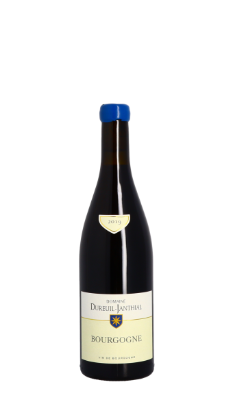 Domaine Vincent Dureuil-Janthial 2019 Rouge 75cl