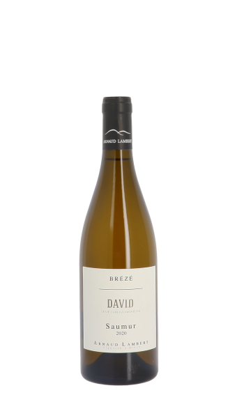 Arnaud Lambert, Clos David 2020 Blanc 75cl