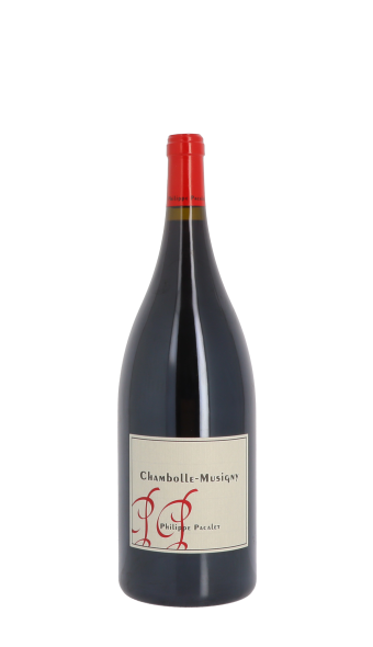 Domaine Philippe Pacalet 2019 Rouge Magnum