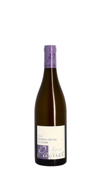 Domaine Agnès Paquet, La Comme 2020 Blanc 75cl