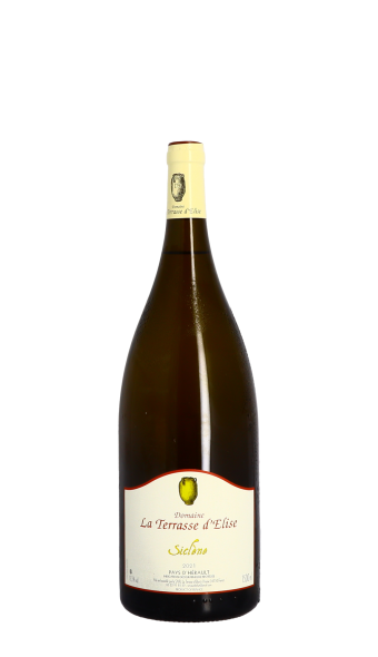 Domaine La Terrasse d'Elise, Siclène 2021 Blanc Magnum