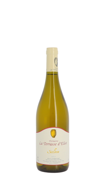 Domaine La Terrasse d'Elise, Siclène 2023 Blanc 75cl