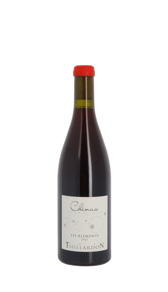 Domaine Thillardon, Les Blemonts 2022 Rouge 75cl