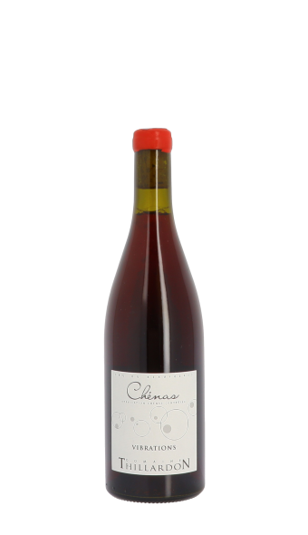 Domaine Thillardon, Vibrations 2021 Rouge 75cl