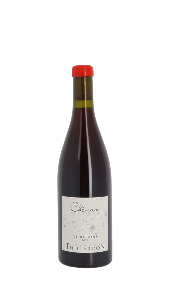 Domaine Thillardon, Vibrations 2022 Rouge 75cl