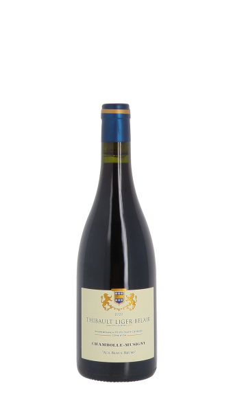 Thibault Liger-Belair, Aux Beaux Bruns 2020 Rouge 75cl