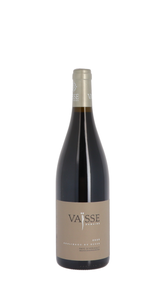 Domaine Vaïsse, Galibaou du Russe 2020 Rouge 75cl