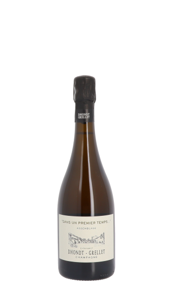 Domaine Dhondt-Grellet, "Dans un premier temps..." 2020 Blanc 75cl